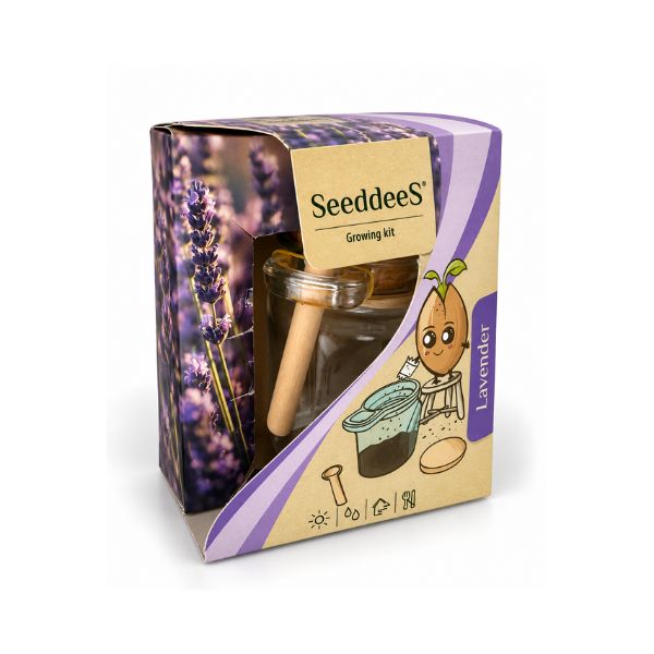 SeeddeeS® kweekset lavendel- Glazen pot